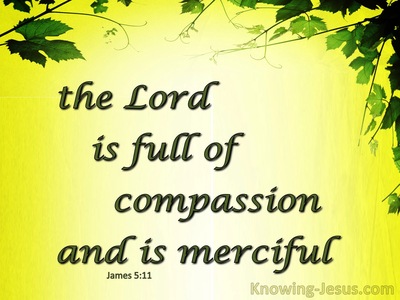 James 5:11 The Lord Is Full Of Compassion And Merciful (yellow)